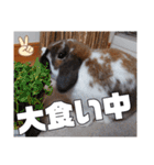 ゆーま公式24①（個別スタンプ：8）