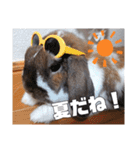 ゆーま公式24①（個別スタンプ：10）