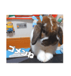 ゆーま公式24①（個別スタンプ：11）