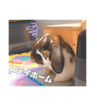 ゆーま公式24①（個別スタンプ：13）
