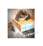 ゆーま公式24①（個別スタンプ：14）