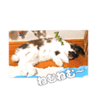 ゆーま公式24①（個別スタンプ：15）