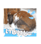 ゆーま公式24①（個別スタンプ：17）