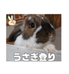 ゆーま公式24①（個別スタンプ：18）
