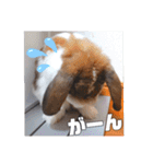 ゆーま公式24①（個別スタンプ：21）