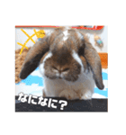 ゆーま公式24①（個別スタンプ：22）