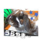 ゆーま公式24①（個別スタンプ：23）
