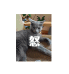 我が家の愛しいケモノたち（個別スタンプ：7）