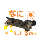 ユヅとナツ（個別スタンプ：4）