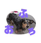 ユヅとナツ（個別スタンプ：6）