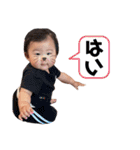 椛羽様の日常です（個別スタンプ：25）