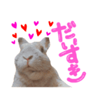 うさぎのルイくん（個別スタンプ：6）