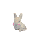 うさぎのルイくん（個別スタンプ：11）