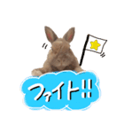 うさぎのルイくん（個別スタンプ：16）