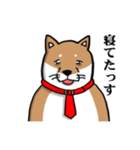 社畜犬スタンプ（個別スタンプ：38）