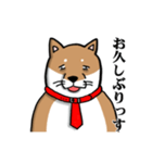 社畜犬スタンプ（個別スタンプ：40）