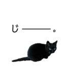 黒猫のスタンプ①（個別スタンプ：1）