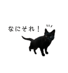 黒猫のスタンプ①（個別スタンプ：13）