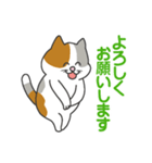 ほにょっと三毛猫さん（個別スタンプ：1）