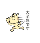 敬語【丁寧語】のねこたち（個別スタンプ：24）