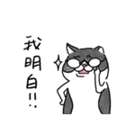 白黒貓 - memes（個別スタンプ：6）