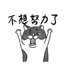 白黒貓 - memes（個別スタンプ：8）