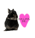 びびツー（個別スタンプ：1）