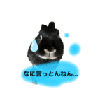 びびツー（個別スタンプ：4）