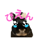 びびツー（個別スタンプ：7）
