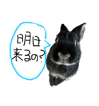 びびツー（個別スタンプ：8）