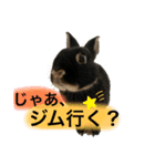 びびツー（個別スタンプ：12）