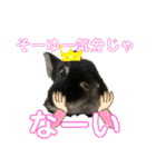 びびツー（個別スタンプ：14）