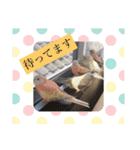 ザ・ピートルズ③（個別スタンプ：14）