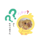 ザ・ピートルズ③（個別スタンプ：39）