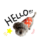 Aloha's sticker（個別スタンプ：9）