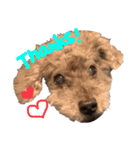 Aloha's sticker（個別スタンプ：14）