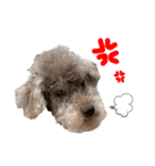 Aloha's sticker（個別スタンプ：16）