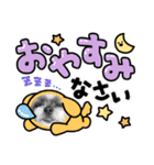 ちょこ③（個別スタンプ：11）