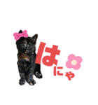 5ばんめ（個別スタンプ：15）