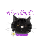 イラスト猫とうちの犬です！（個別スタンプ：1）