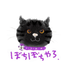 イラスト猫とうちの犬です！（個別スタンプ：2）