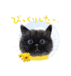 イラスト猫とうちの犬です！（個別スタンプ：3）