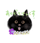 イラスト猫とうちの犬です！（個別スタンプ：11）