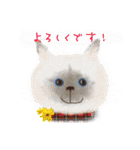 イラスト猫とうちの犬です！（個別スタンプ：14）