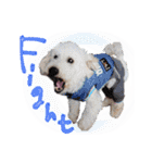 イラスト猫とうちの犬です！（個別スタンプ：23）