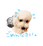 イラスト猫とうちの犬です！（個別スタンプ：24）