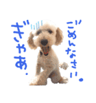 イラスト猫とうちの犬です！（個別スタンプ：28）