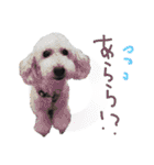 イラスト猫とうちの犬です！（個別スタンプ：30）