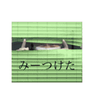 くるみスタンプ2021（個別スタンプ：21）