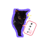 くぅ＆モカ（個別スタンプ：3）